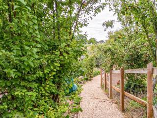 Fig Tree Shepherds Hut - Cottage - 4