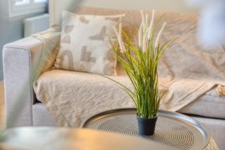 Charmant logement à Choisy le Roi - 7