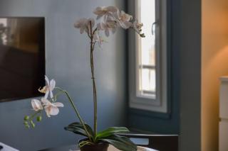 Charmant logement à Choisy le Roi - 5