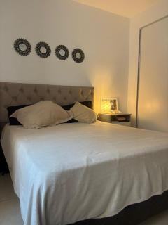 Apart salta centro - 0