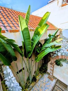 Dúplex Acogedor para 4 Personas en Getsemaní - 1