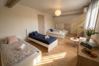 Villa 10-14 guests - 180m2 - private forest - CDG 7min - Disney 20min - 1