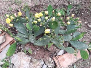 Kletterlounge Igor and Family - 2