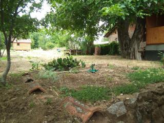 Kletterlounge Igor and Family - 1