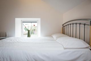 The Snug - 4