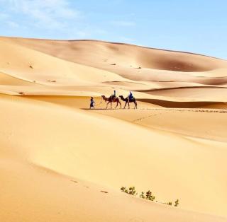 Les Roses Des Dunes - 1