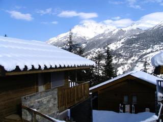 Les Chalets Petit Bonheur - LES CHALETS PETIT BONHEUR - CHT93 MAE-2484 - 1