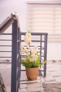 Les résidences SARALIS - 3