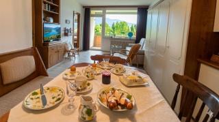 REGINE Haus KMB Seeblick Appartment am Ossiachersee, Hallenbad, Skiarena Gerlitzen - Bodensdorf - 9