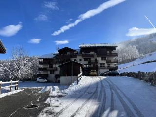 Les Chalets Des Evettes - Résidence avec piscine au pied des pistes MAE-4911 - Flumet - 5