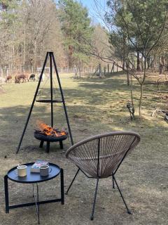 Drewniany domek w lesie z alpakami - 5