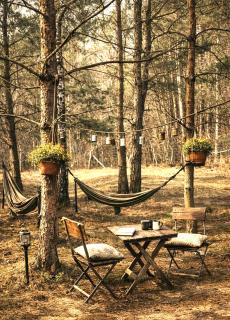 Drewniany domek w lesie z alpakami - 7