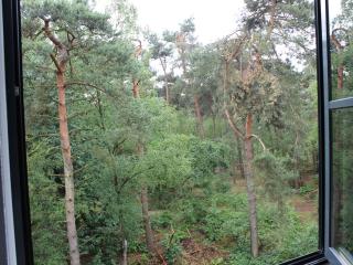 Hotel Kapellerput Heeze-Eindhoven - Heeze - 7