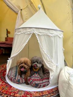 帆船冷氣帳篷 - 0