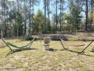 Nature's Nook, 2 Acres Home by Springs and Gainesville - 5