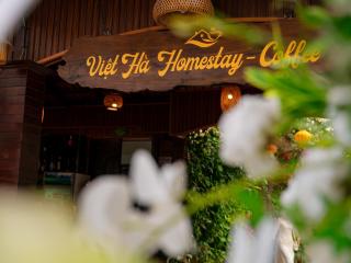 Tam Coc Viet Ha Homestay - 1