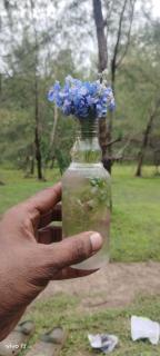 Sharavathi Homes - 3