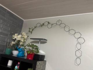 Quiet Heritage Bungalow Entire Home Geodome - 1