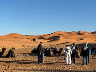 Nivora Sahara Retreat - 8