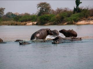 Emms Cubango Ecological Camp - 7