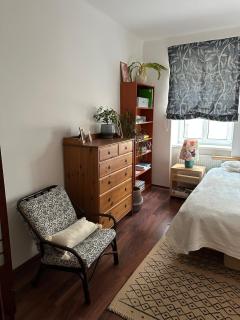 Gemütliche Einzimmerwohnung im Zentrum Wiens - 1