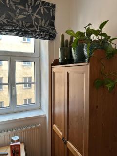 Gemütliche Einzimmerwohnung im Zentrum Wiens - 2