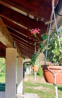 Peaceful Nature Home near Malpensa & Lake Como - 7