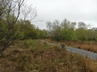 Woodland glamping cabin - 9
