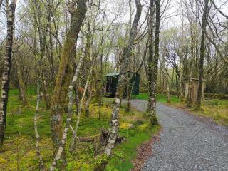 Woodland glamping cabin - 1