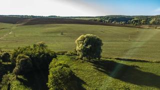 Zselici Csillagvirág Vendégház - 8