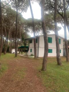 Appartamento in pineta La Falena - 1