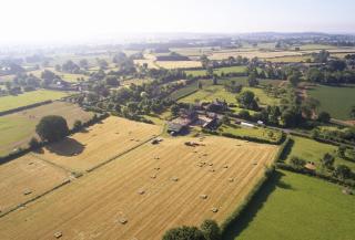 Pear Tree Cottage Shropshire - Orleton - 6