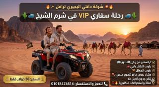 Sharm El Sheikh Safari - 4