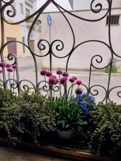 Casa Malecore Salento - 8
