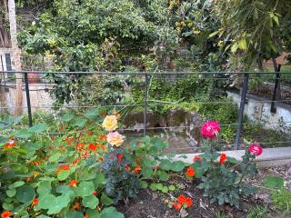 Vasilion Agrotourism - 5