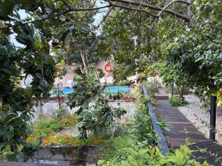 Vasilion Agrotourism - 1