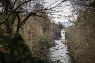 California Cottage 2 - 8