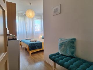 Perfect Location Split Center Apartments - 1