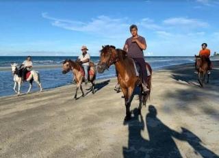 Pink Teddy Home Cute & Cozy 6-7 Pax - 2