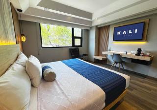 KALI Vallejo Mexico City - 9
