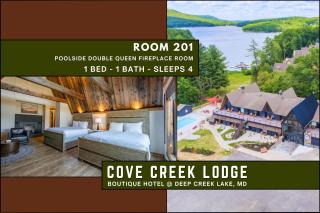 Cove Creek Lodge 201 Poolside Double Queen Fireplace Room - 9