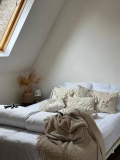 Fiillhousedilijan - 5