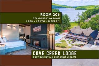 Cove Creek Lodge 206 Standard King Room - 9