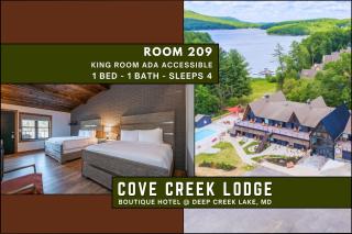 Cove Creek Lodge 209 Standard Double Queen Room - 9