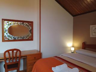 Chalet entre viñedos - 2