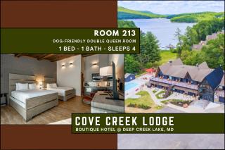 Cove Creek Lodge 213 Dog Friendly Standard Double Queen Room - 9