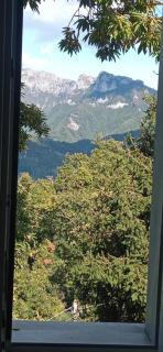 Flora's Nest - Oasis of peace with a view of the Apuan Alps - 0