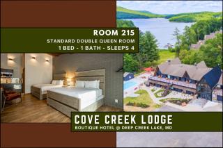 Cove Creek Lodge 215 Standard Double Queen Room - 9