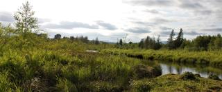 River Bend Cabin - 2
