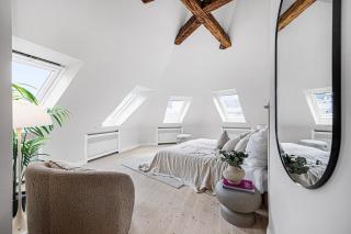Scandinavian Luxury Penthouse with Balcony - 9